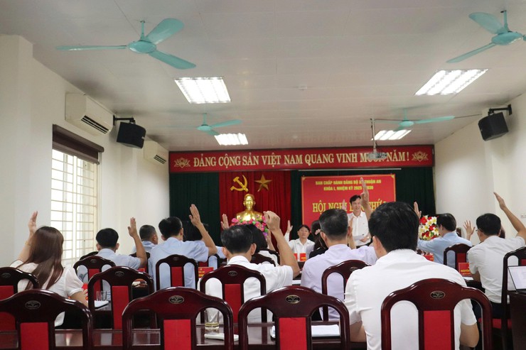 Hội nghị Ban Chấp hành Đảng bộ xã Thuận An lần thứ V- Ảnh 4.