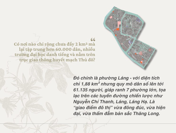 “PHƯỜNG LÁNG CÓ GÌ ĐẶC SẮC ?”- Ảnh 3.