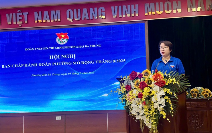 Công bố quyết định thành lập Đoàn thanh niên các cơ quan, đơn vị sự nghiệp trực thuộc Đoàn phường Hai Bà Trưng- Ảnh 1.