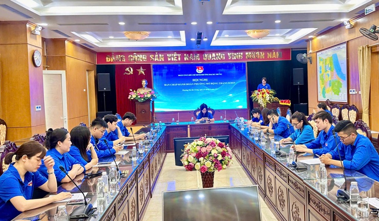 Công bố quyết định thành lập Đoàn thanh niên các cơ quan, đơn vị sự nghiệp trực thuộc Đoàn phường Hai Bà Trưng- Ảnh 2.
