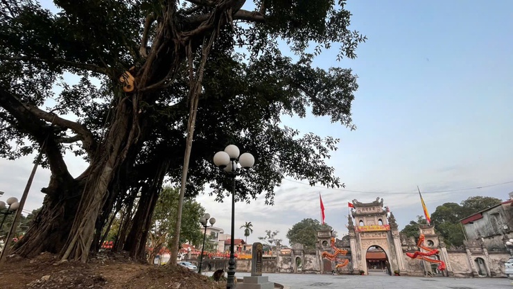 GIÁ TRỊ ĐẶC SẮC CỦA DI TÍCH QUỐC GIA ĐẶC BIỆT CHÙA BỐI KHÊ- Ảnh 4.