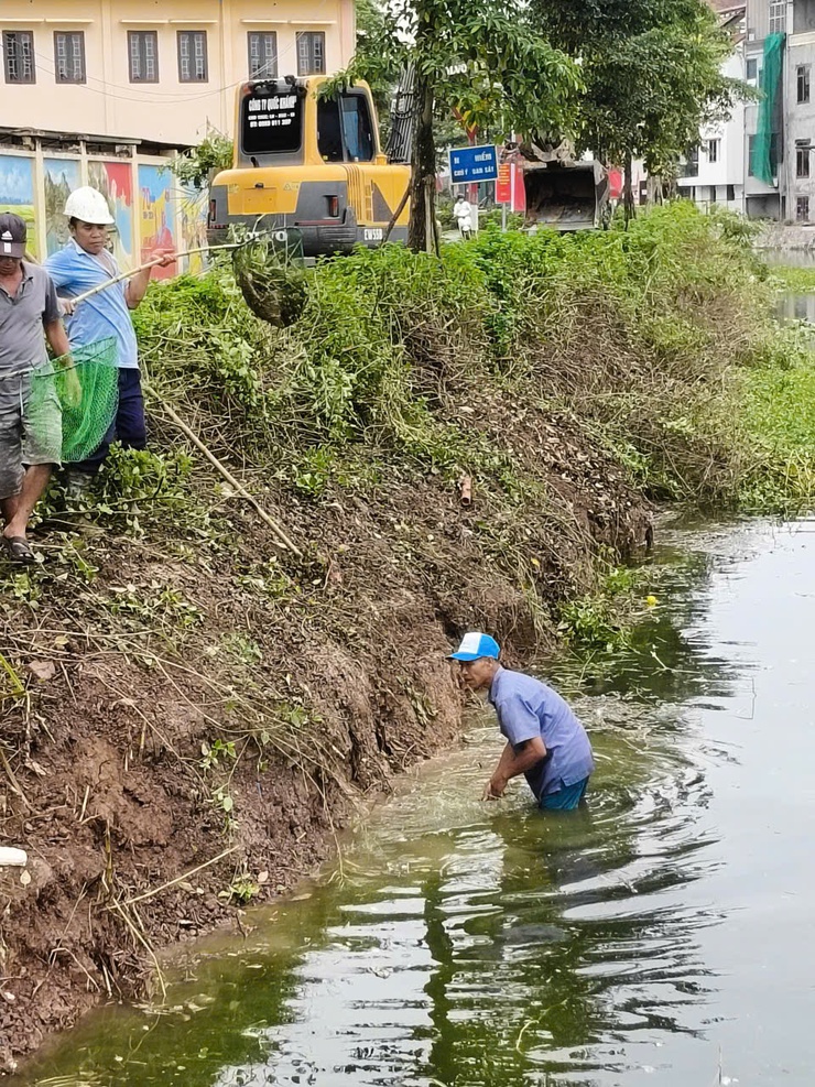 Phòng kinh tế xã Kiều Phú  tổ chức vệ sinh môi trường đảm bảo mỹ quan đô thị- Ảnh 1.