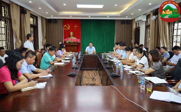 Phú Cát triển khai quyết liệt các giải pháp phòng, chống dịch tả lợn châu Phi- Ảnh 1.