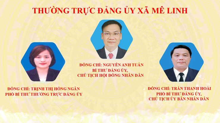 Giới thiệu bộ máy tổ chức của xã Mê Linh- Ảnh 1.