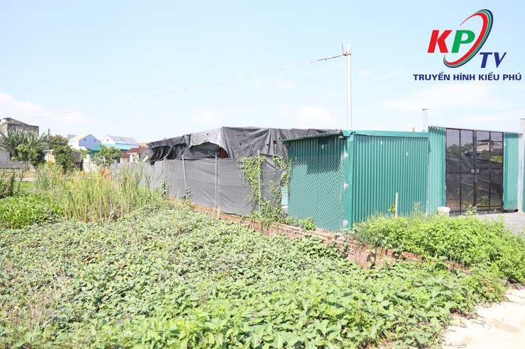 Đoàn công tác UBND xã Kiều Phú kiểm tra công tác quản lý đất đai, trật tự xây dựng trên địa bàn- Ảnh 2.