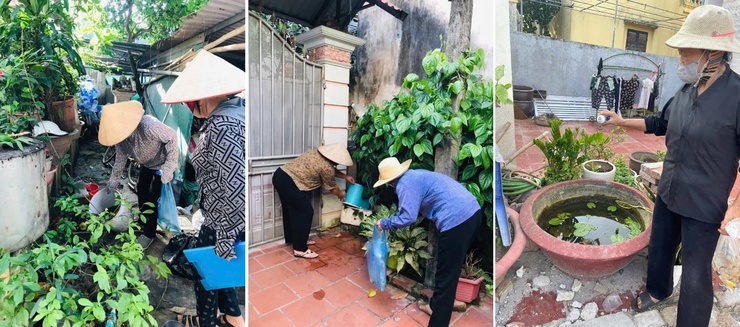 Trạm Y tế xã Hoài Đức tổ chức chiến dịch vệ sinh môi trường, diệt bọ gậy, phun hóa chất diệt muỗi chủ động phòng chống bệnh sốt xuất huyết- Ảnh 1.