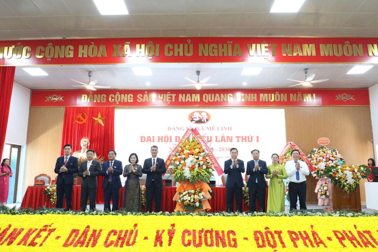 Đại hội đại biểu Đảng bộ xã Mê Linh lần thứ I, nhiệm kỳ 2025-2030 thành công tốt đẹp- Ảnh 6.