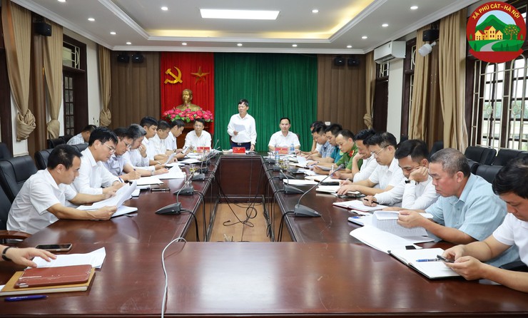 Phú Cát họp ban chấp hành Đảng bộ xã lần thứ 8, nhiệm kỳ 2025-2030- Ảnh 1.