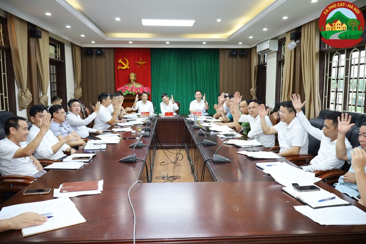 Phú Cát họp ban chấp hành Đảng bộ xã lần thứ 8, nhiệm kỳ 2025-2030- Ảnh 3.