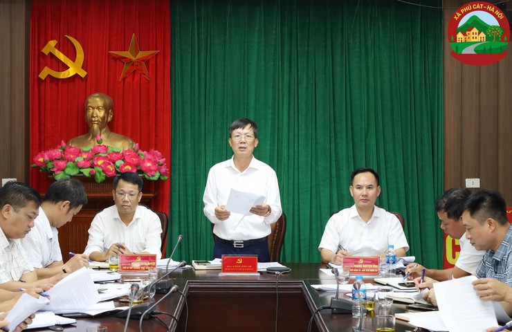 Phú Cát họp ban chấp hành Đảng bộ xã lần thứ 8, nhiệm kỳ 2025-2030- Ảnh 2.