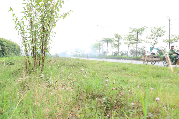 Xã Quang Minh ra quân giải tỏa vi phạm trật tự đô thị, kết hợp vệ sinh môi trường trên tuyến đường 48- Ảnh 1.