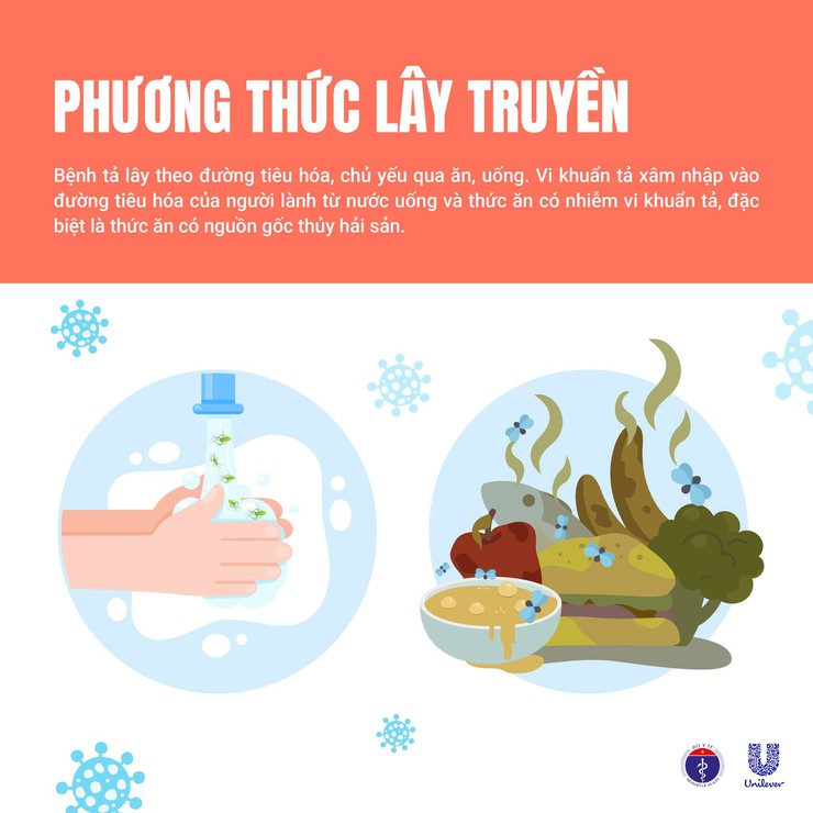 Bộ Y tế thông tin và khuyến cáo về bệnh Tả- Ảnh 3.