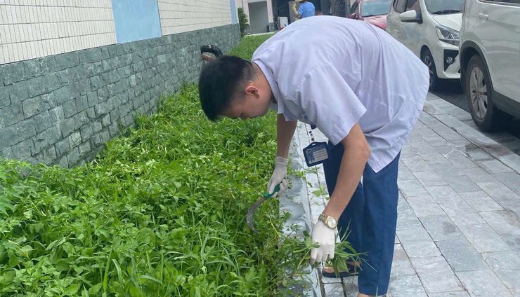 Ngành Y tế Hà Nội lan tỏa phong trào vệ sinh yêu nước- Ảnh 1.