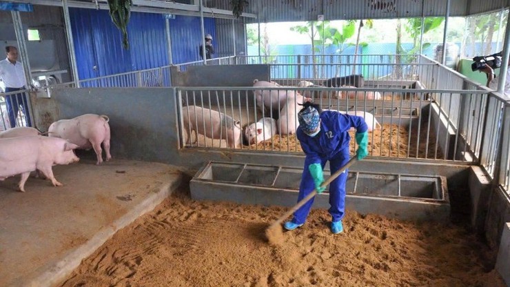 Chủ động chăn nuôi an toàn sinh học, phòng chống dịch bệnh trên địa bàn- Ảnh 2.