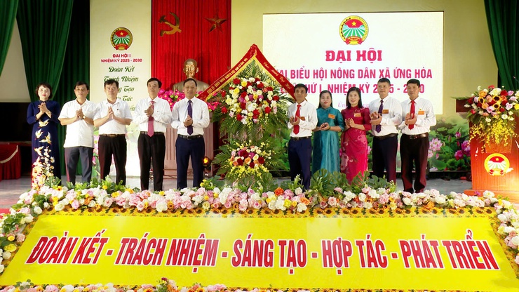 Đại hội đại biểu Hội Nông dân xã Ứng Hoà thành công tốt đẹp- Ảnh 1.