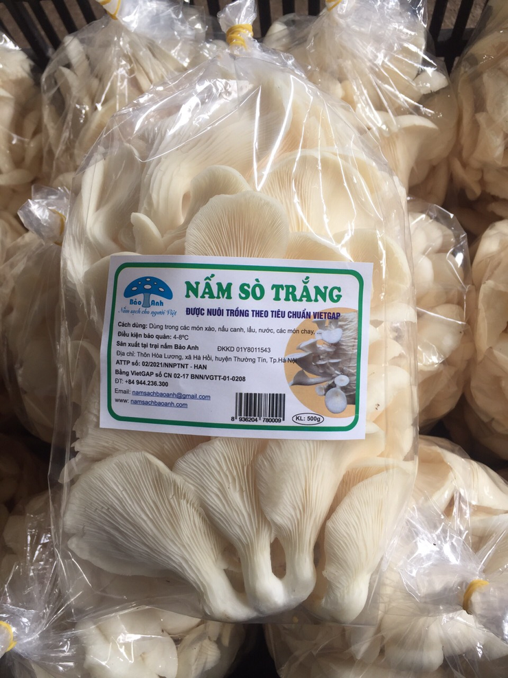 Bài viết gương “Người tốt việc tốt”
VƯƠN LÊN LÀM GIÀU TỪ ĐAM MÊ TRỒNG NẤM SẠCH- Ảnh 3.