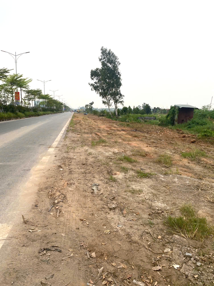 Xã Quang Minh sẽ cắm biển cấm đổ rác và trồng cây xanh, hoa, thảm cỏ tại một số tuyến đường trung tâm- Ảnh 2.