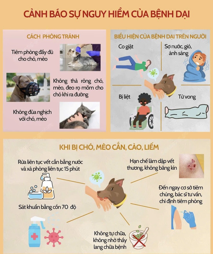 Tuyệt đối không chủ quan với bệnh dại- Ảnh 1.