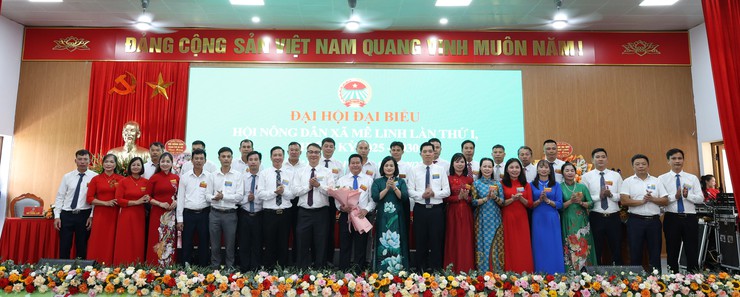 Đại hội đại biểu Hội Nông dân xã Mê Linh thành công tốt đẹp- Ảnh 6.