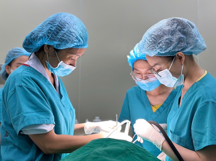 Cấy ghép implant – Giải pháp phục hồi răng mất hiện đại và bền vững- Ảnh 1.
