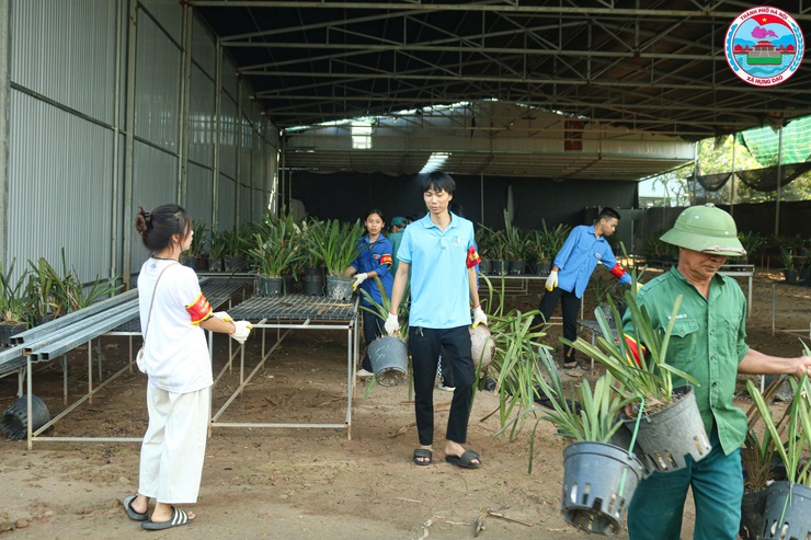 CƯỠNG CHẾ CÁC CÔNG TRÌNH VI PHẠM TRÊN ĐỊA BÀN XÃ HƯNG ĐẠO- Ảnh 9.
