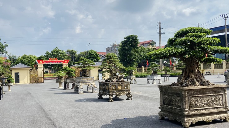 Xã Phúc Thọ sẵn sàng cho Đại hội Đại biểu Ủy ban MTTQ Việt Nam xã lần thứ I, nhiệm kỳ 2025 – 2030- Ảnh 3.