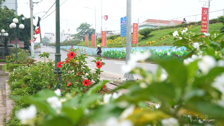 Xã Dương Hoà khánh thành công trình “Tuyến đê bích hoạ, nở hoa” - Ảnh 6.