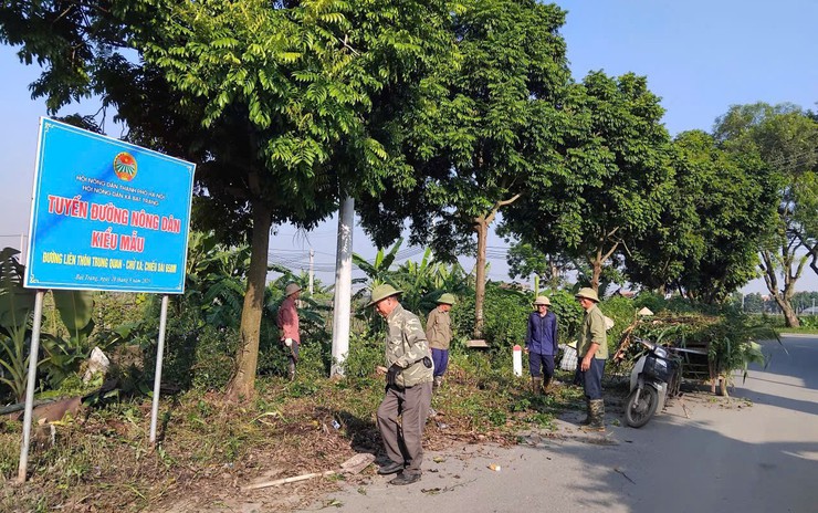 Hội nông dân xã Bát Tràng gắn biển công trình "Cánh đồng sạch"

- Ảnh 3.