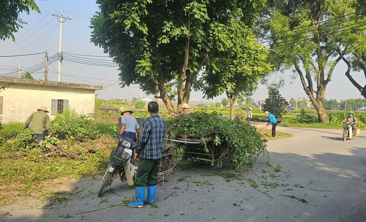 Hội nông dân xã Bát Tràng gắn biển công trình "Cánh đồng sạch"

- Ảnh 5.