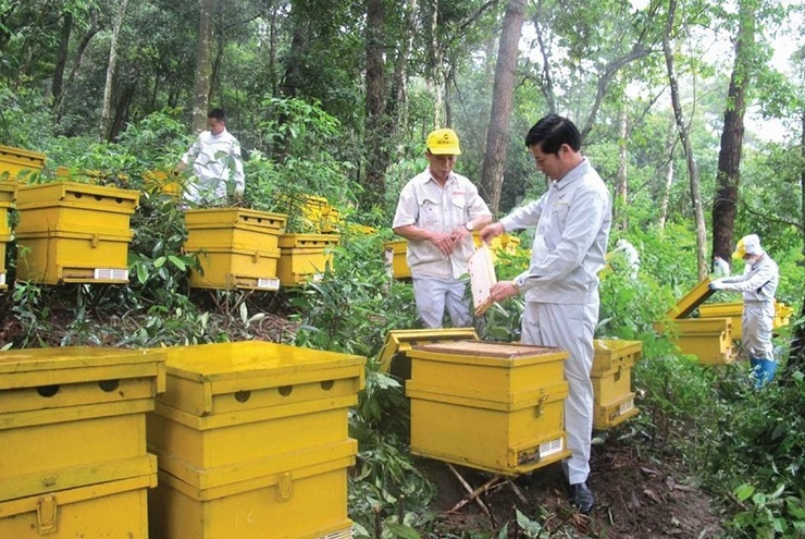 Hà Nội công bố thủ tục hành chính mới trong lĩnh vực xuất nhập khẩu- Ảnh 1.
