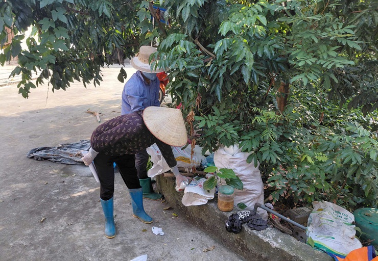 Trần Phú: Tiếp tục triển khai tổng vệ sinh môi trường, diệt bọ gậy, phòng chống dịch sốt, xuất huyết- Ảnh 3.