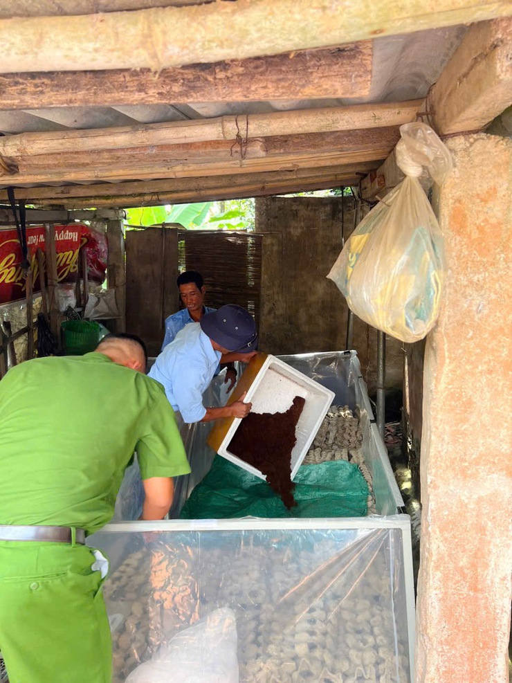 Mô hình nuôi Dế – Cánh cửa tái hòa nhập cộng đồng cho người sau cai nghiện tại xã Phúc Lộc- Ảnh 3.