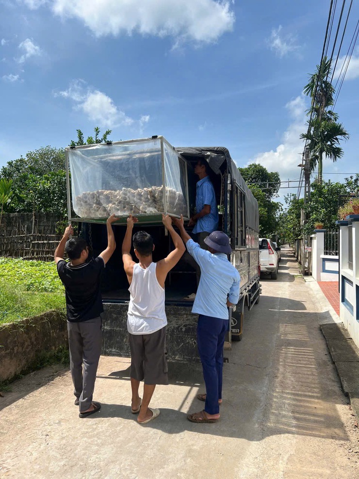 Mô hình nuôi Dế – Cánh cửa tái hòa nhập cộng đồng cho người sau cai nghiện tại xã Phúc Lộc- Ảnh 4.