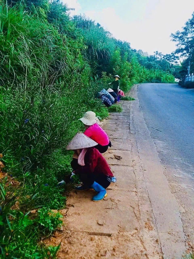 Các chi hội phụ nữ xã Yên Bài ra quân tổng vệ sinh môi trường chào mừng Đại hội Đại biểu Hội Liên hiệp Phụ nữ xã lần thứ I, nhiệm kỳ 2025 – 2030- Ảnh 2.