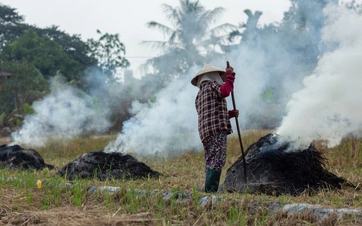 Không phơi thóc lúa trên đường giao thông, không đốt rơm rạ để bảo vệ môi trường, bảo vệ sức khỏe chính mình, gia đình và cộng đồng- Ảnh 2.