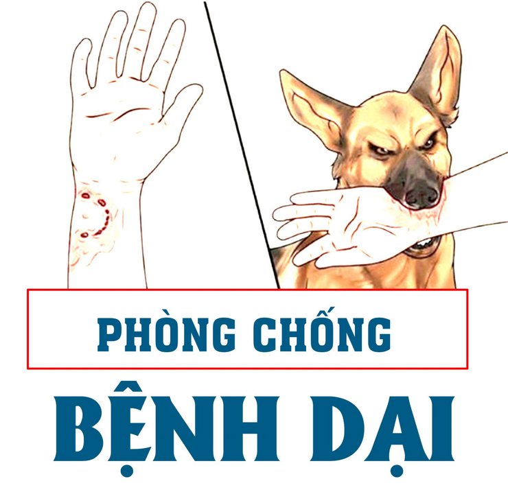 KHUYẾN CÁO PHÒNG, CHỐNG BỆNH DẠI TRÊN ĐỊA BÀN XÃ HƯNG ĐẠO- Ảnh 1.