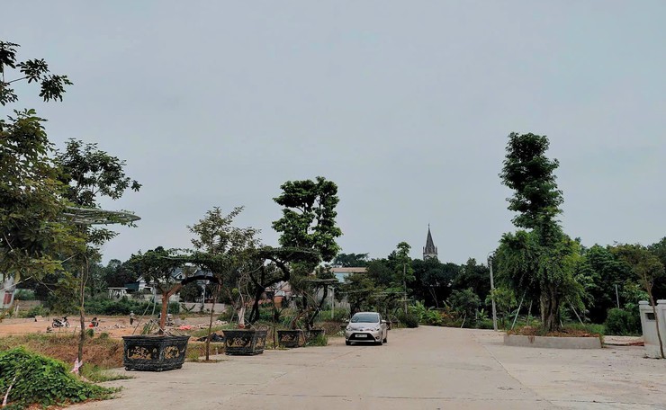 Hiệu quả mô hình "Dân vận khéo" tại thôn Đồi Vua- Ảnh 1.