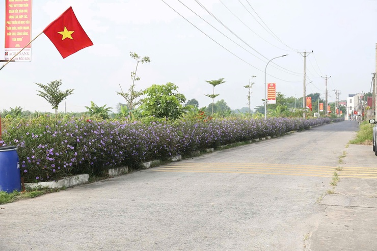 HỘI NÔNG DÂN XÃ SÓC SƠN: GẮN BIỂN 02 PHẦN VIỆC Ý NGHĨA CHÀO MỪNG ĐẠI HỘI ĐẠI BIỂU MTTQ VÀ ĐẠI HỘI ĐẠI BIỂU HỘI NÔNG DÂN XÃ LẦN THỨ I, NHIỆM KỲ 2025-2030  - Ảnh 3.