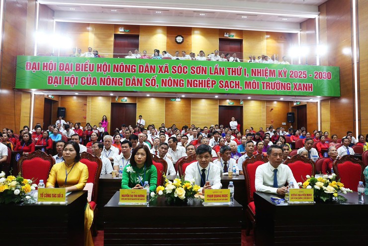 ĐẠI HỘI ĐẠI BIỂU HỘI NÔNG DÂN XÃ SÓC SƠN LẦN THỨ I, NHIỆM KỲ 2025-2030- Ảnh 4.