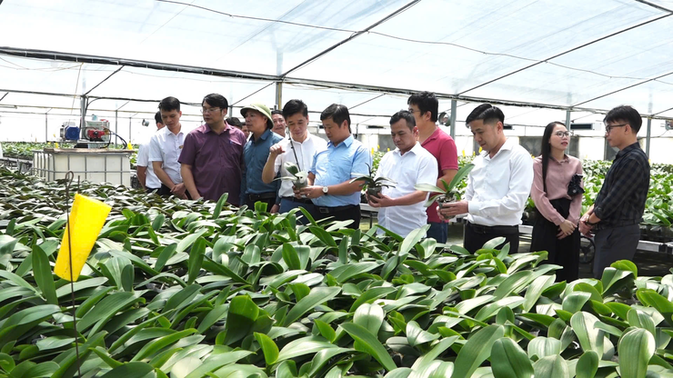 Thường trực Đảng ủy xã Dân Hòa thăm, làm việc với các mô hình nông dân tiêu biểu: Động lực phát triển kinh tế địa phương
- Ảnh 3.