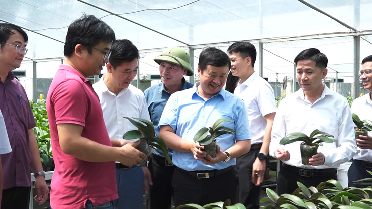 Thường trực Đảng ủy xã Dân Hòa thăm, làm việc với các mô hình nông dân tiêu biểu: Động lực phát triển kinh tế địa phương
- Ảnh 4.