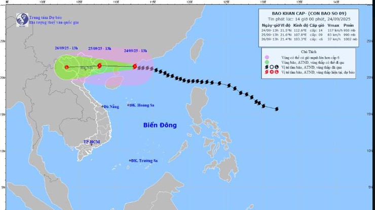 Xã An Khánh chủ động ứng phó với siêu bão Ragasa (số 9)- Ảnh 1.