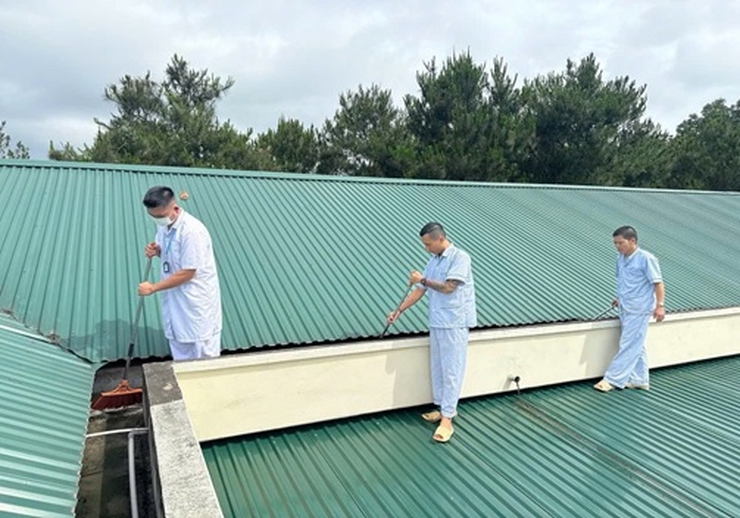 Chủ động ứng phó với cơn bão số 9 - Ragasa- Ảnh 3.