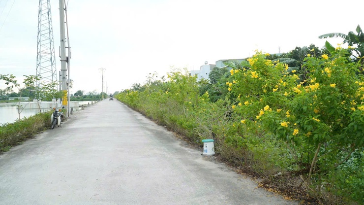 Hội Nông dân xã đã tổ chức gắn biển công trình “Đường hoa Nông dân” tại thôn Lưu Xá- Ảnh 2.