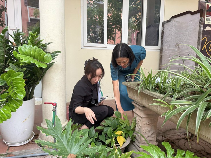 Chủ động các biện pháp vệ sinh môi trường và phòng chống dịch bệnh trước, trong và sau mùa mưa bão- Ảnh 1.