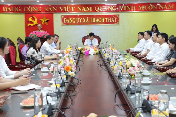 ĐẢNG ỦY XÃ THẠCH THẤT: CÔNG BỐ VÀ TRAO QUYẾT ĐỊNH VỀ CÔNG TÁC CÁN BỘ- Ảnh 3.