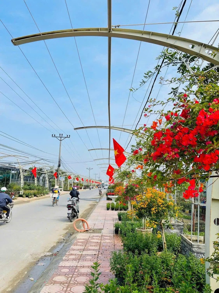 Làng hoa cây cảnh Tích Giang – Điểm đến xanh cho những trải nghiệm độc đáo- Ảnh 4.
