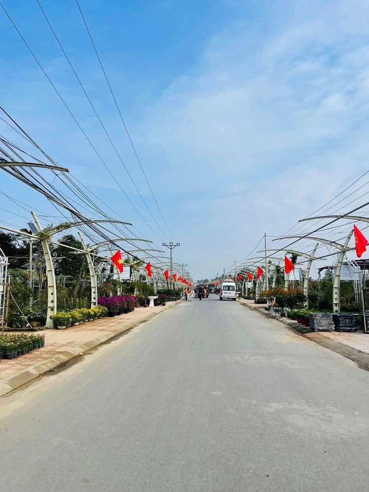 Làng hoa cây cảnh Tích Giang – Điểm đến xanh cho những trải nghiệm độc đáo- Ảnh 2.