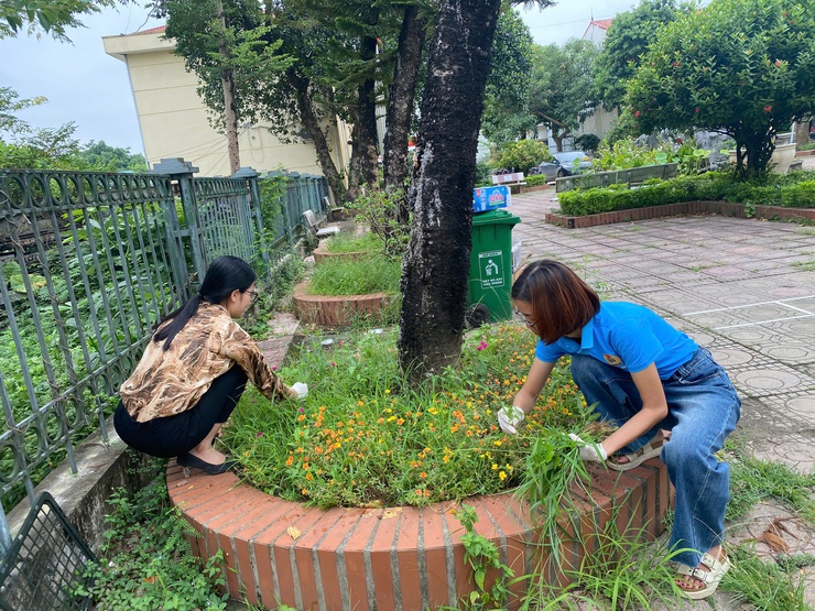Phòng Văn hóa - Xã hội xã Xuân Mai: Cụ thể hoá Kế hoạch thành hành động cụ thể với "Mô hình Cơ quan Xanh"- Ảnh 2.