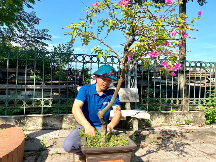 Phòng Văn hóa - Xã hội xã Xuân Mai: Cụ thể hoá Kế hoạch thành hành động cụ thể với "Mô hình Cơ quan Xanh"- Ảnh 4.